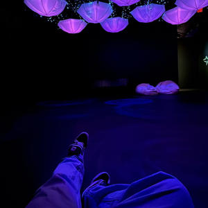 ASSERTIVE (Explicit)