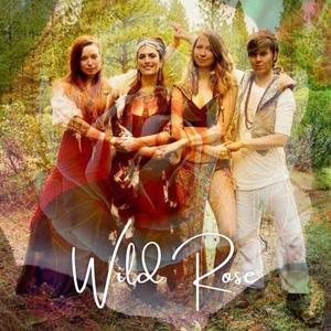 Wild Rose