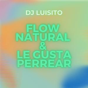 Flow Natural & Le Gusta Perrear (Explicit)