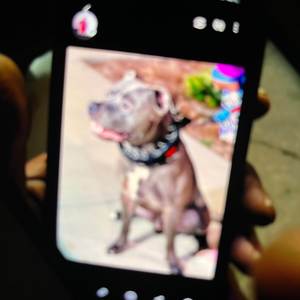 free em all (Explicit)