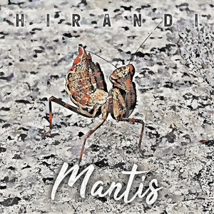 Mantis