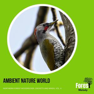 Hiss of the Rattlesnake