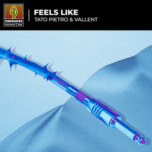 Feels Like (Extended Version)