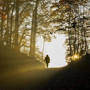 MORNING WALK