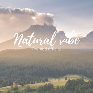 Natural Vibe