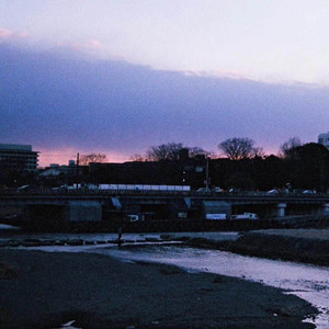 认同理性 (Inst.)