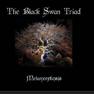 One Thousand Silver Birds Fly From A Tear In The Universe