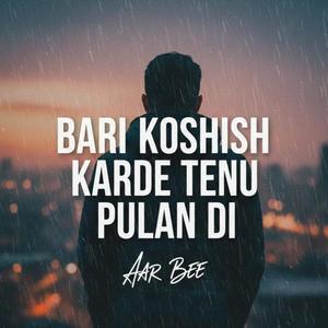Bari Koshish Karde Tenu Pulan Di