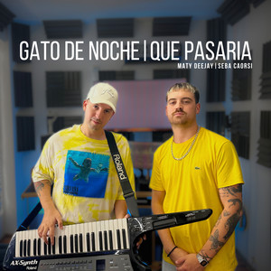 Gato de Noche | Que Pasaria