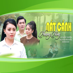 Nát Cánh Phượng Hồng