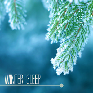 Winter Sleep - Sleepy Music to Relax With Nature Sleepy Sounds & Relax Melodies