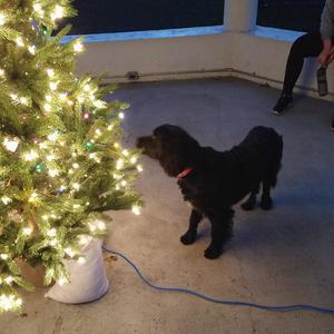 Christmas Eve Anthem