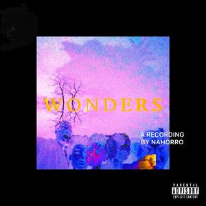 WONDERS (Deluxe) /DEMO TAPES VOL 1 [Explicit]