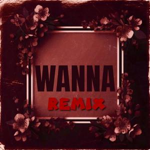 W A N N A (feat. Prince Papi, Buzzbunny, WOAAH.D33, s0lidace & Steven Mayweather) (DA DOLL MIX|Explicit)