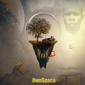 OwnSpace