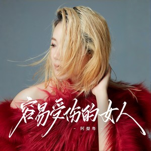 容易受伤的女人 (DJ-lucky小阳版)封面