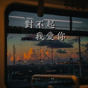 对不起，我爱你 