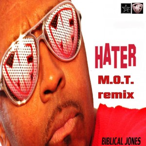 Hater (DJTruFlava Instrumental Remix)