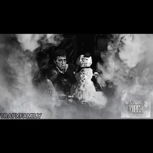 EL PERICO (MI VERSION)