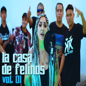 La Casa de Felinos, Vol.1 (Explicit)