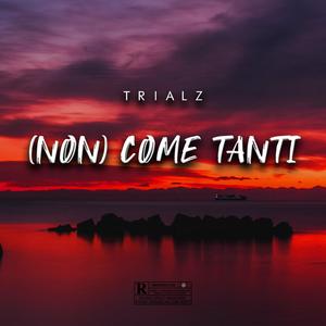 (non) come tanti skit [Explicit]