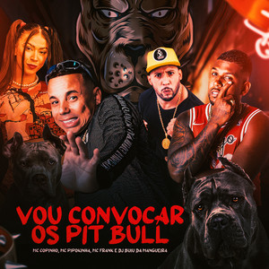 Vou Convocar os Pit Bull (Explicit)