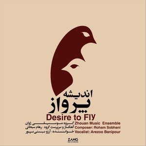 Desire to Fly