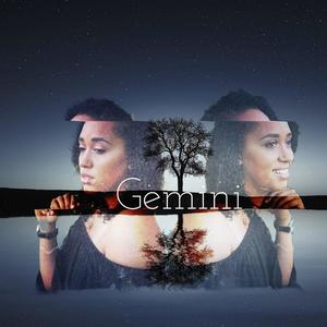 Gemini (Explicit)