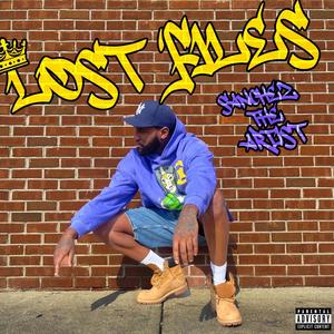 LOST FILES (Explicit)