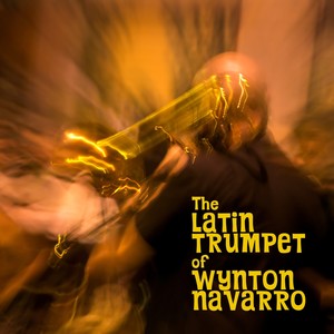 The Latin Trumpet of Wynton Navarro