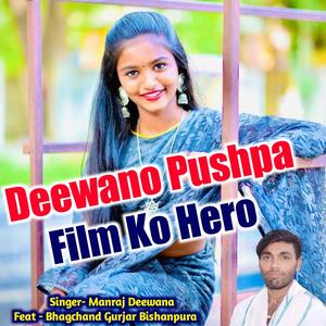 Deewano Pushpa Film Ko Hero