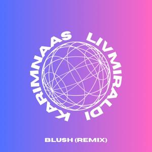 Blush (feat. Karim Naas) [Remix]