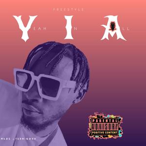 YIA (Freestyle Ya Netshigodini (Explicit)