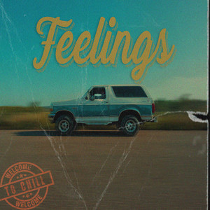 Feelings