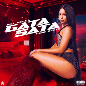 Gata Sata (Explicit)