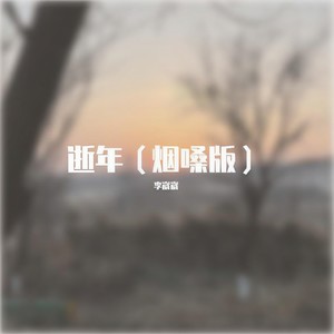 逝年 (烟嗓版)