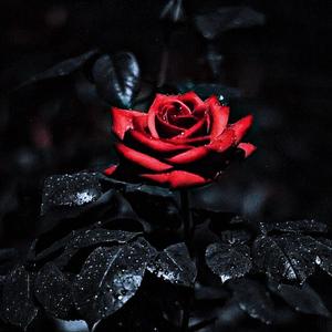 MALA (feat. Pablo Vegas) (Explicit)