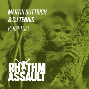 Perpetual (Original Mix)