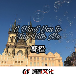 Somebody That I Used To Know (Remix)