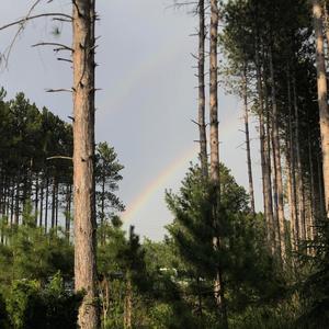 Hope(feat. emotionals3k) (Explicit)