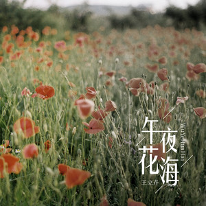 午夜花海