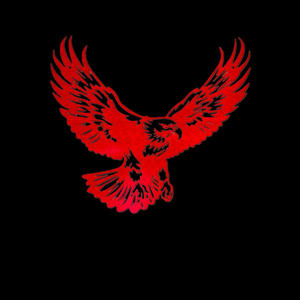 CARTI FLOW (OUTRO) (Explicit)