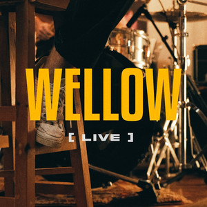 WELLOW (Live)