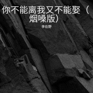 你不能离我又不能娶-李在野