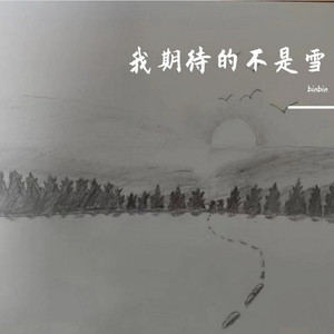 我期待的不是雪