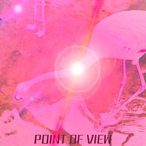 POINT OF VIEW (Explicit)
