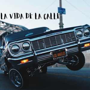 La Vida De La Calle