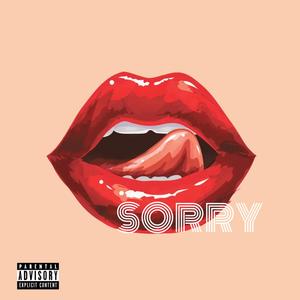 Sorry (Low Alamode Remix)