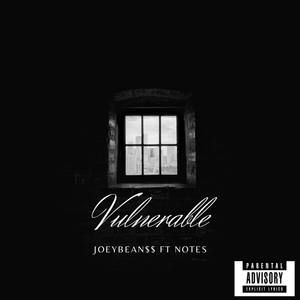 Vulnerable (Explicit)