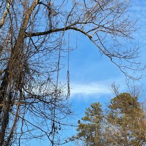 Alone Tho(feat. SXVVY) (Explicit)